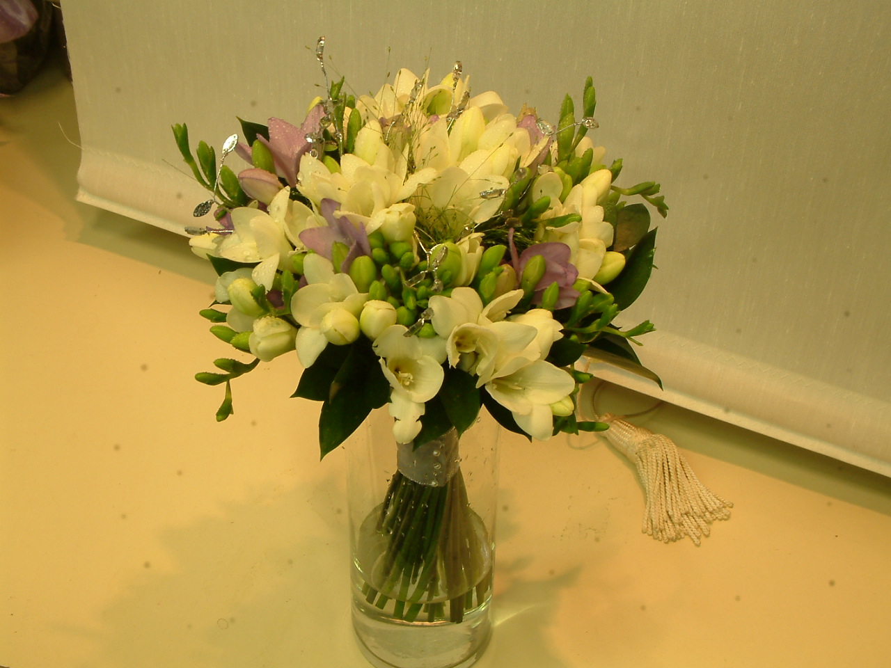 Freesia1