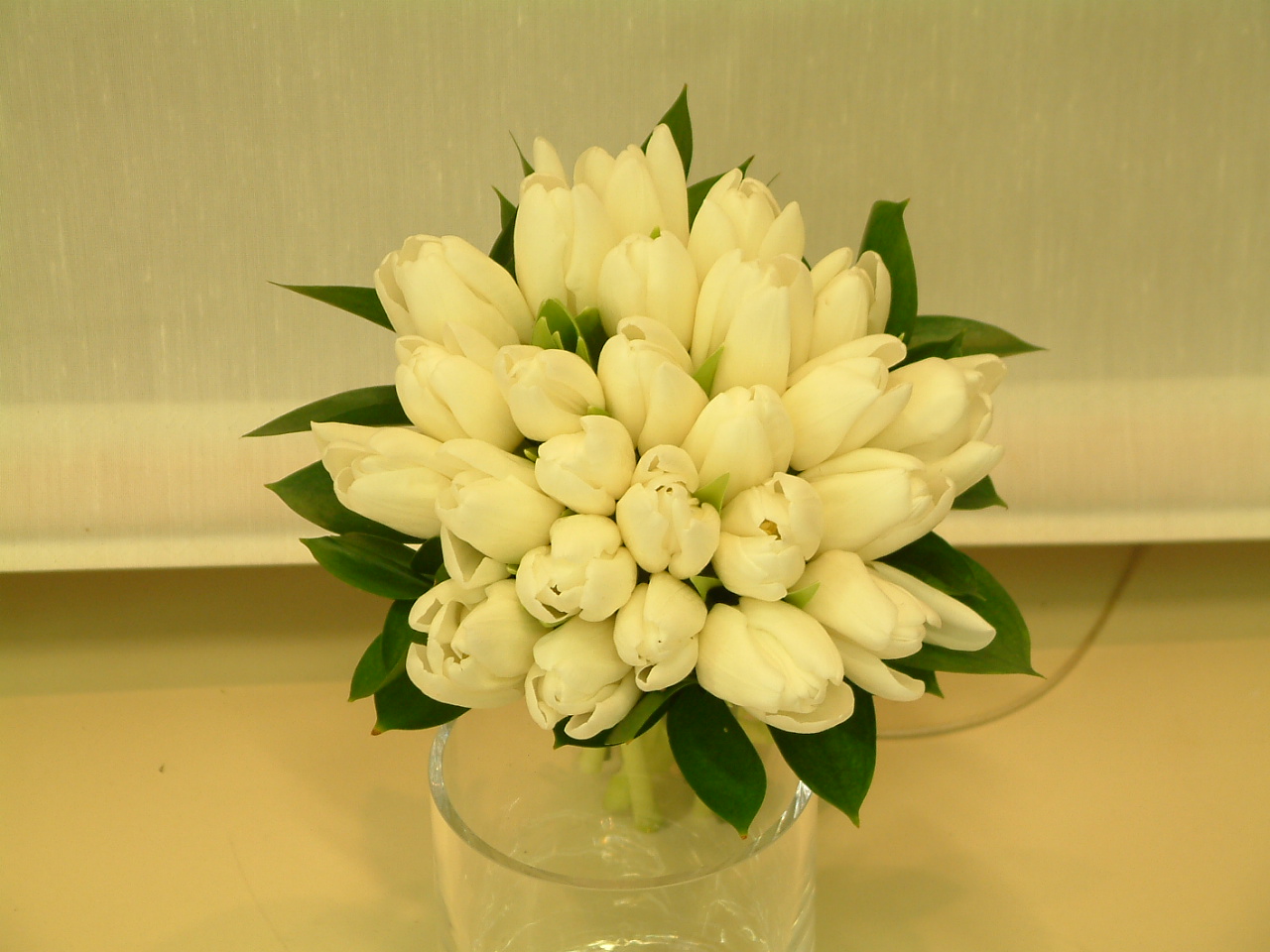 HandTiedTulip